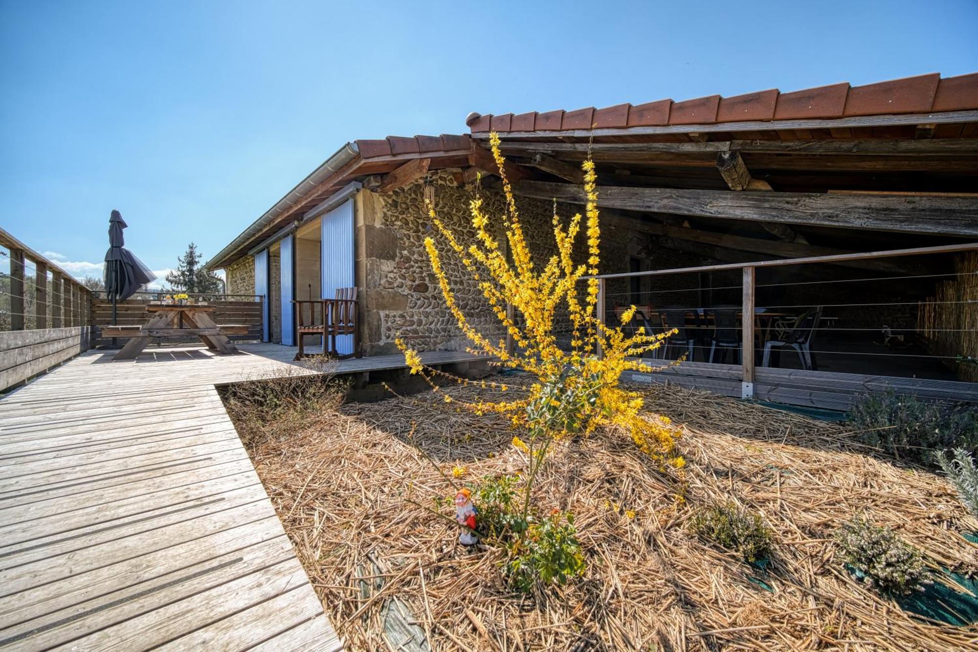 Maison Michonieres - Gite 3 Etoiles - 8 Personnes Miribel  Экстерьер фото